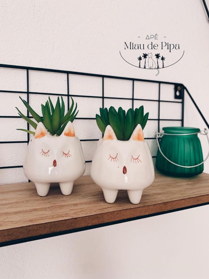 Praia de Pipa Miau De Pipa 아파트 외부 사진